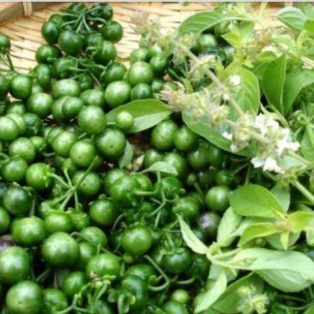 

Leunca/solanum nigrum250gram