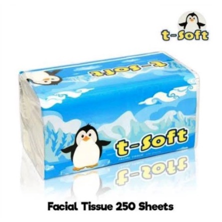 t-soft tisu facial 2ply isi 250's