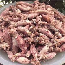 

Cumi Asin 100gr Medan