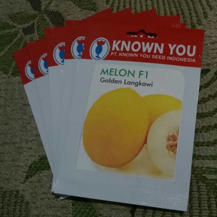 Benih Melon F1 GOLDEN LANGKAWI  Known You Seed kemasan asli
