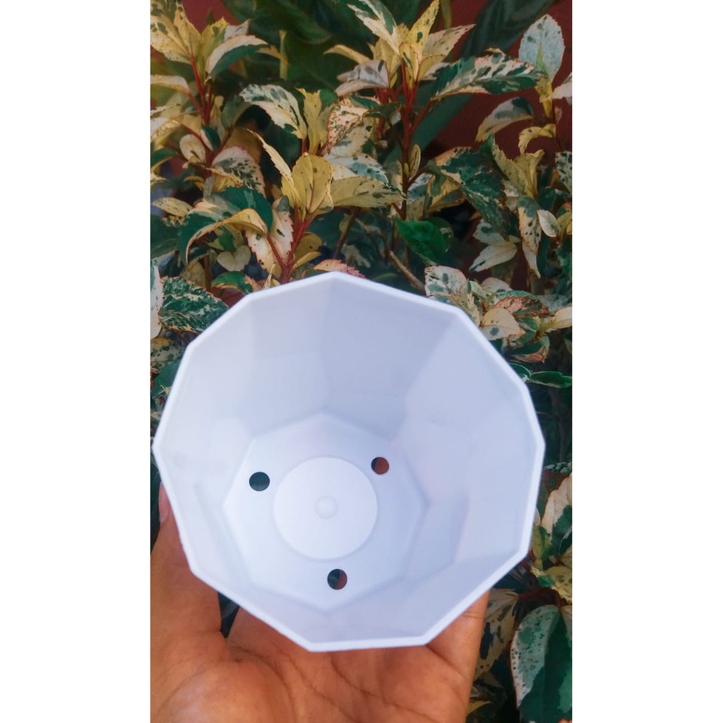 Pot Permata Diamond 8CM Putih Pot Kecil Mini Plastik Semen Putih Minimalis Kaktus Sukulen Lucu Murah