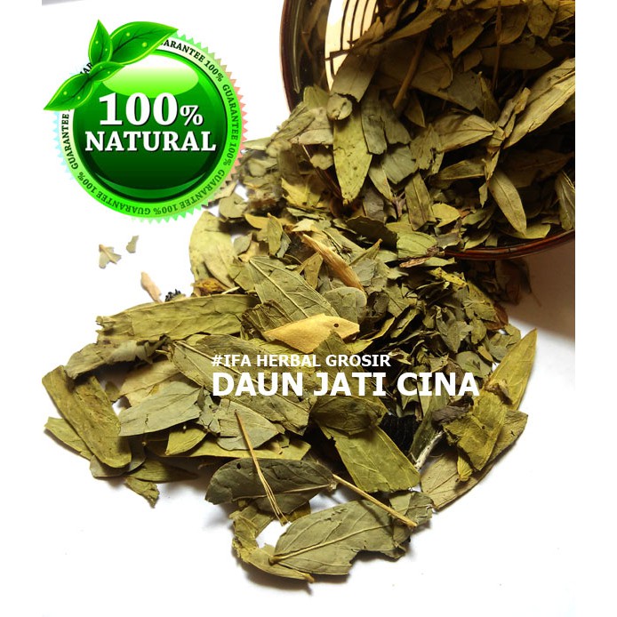 

Jamu Herbal Tradisional Tanaman Obat Teh Daun Jati Cina Pelangsing