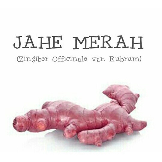 JAHE MERAH Segar 1kg