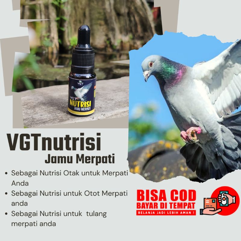 VGT nutrisi Jamu Merpati vitamin suplement suplemen saplemen Burung Dara Jamu Merpati Kolong Jamu Me