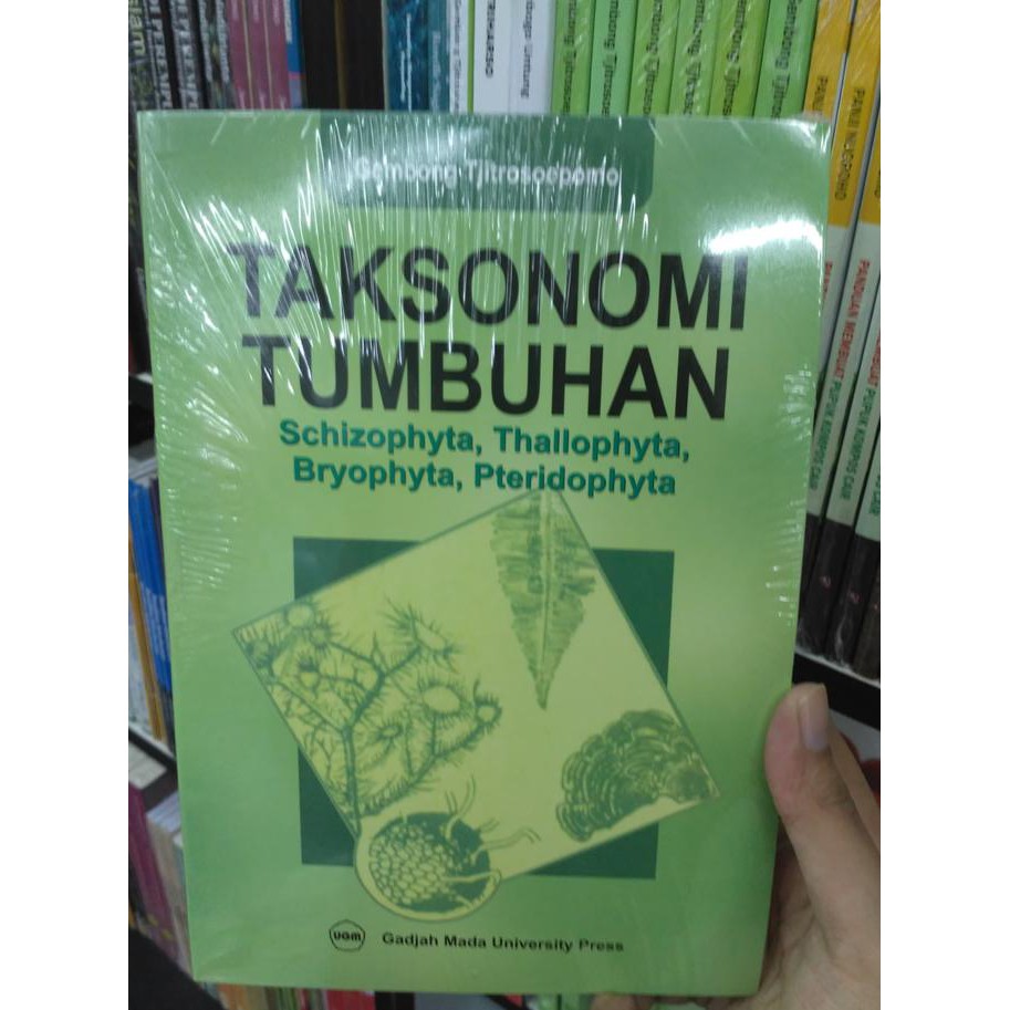 Tumbuhan Paku - Gambar 1