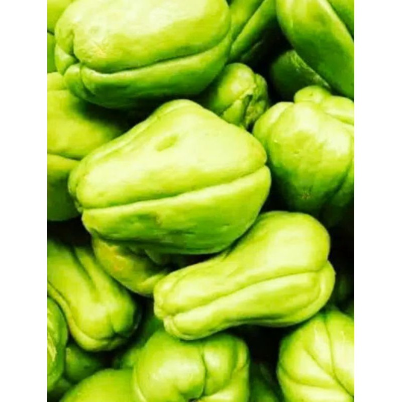 

Sayur Segar - Labu Siam Besar 500 gr