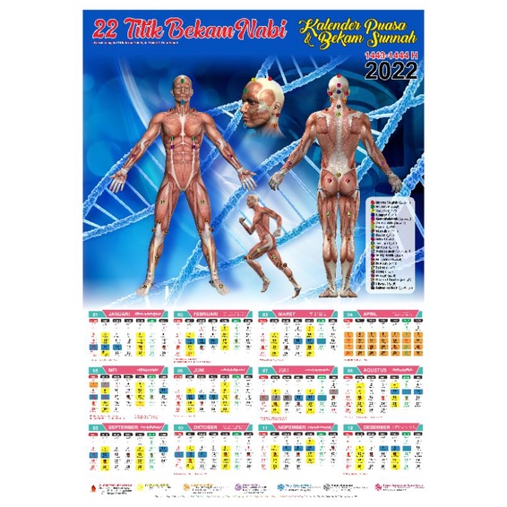 

kalender bekam 2022 + 22 titik bekam Nabi