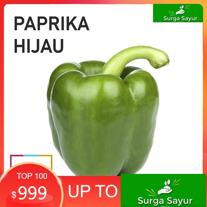 

SURGA SAYUR PAPRIKA HIJAU [1 Buah, ±150g] SEJABODETABEK BISA INSTANT MENGGUNAKAN GOSEND &GRAB.