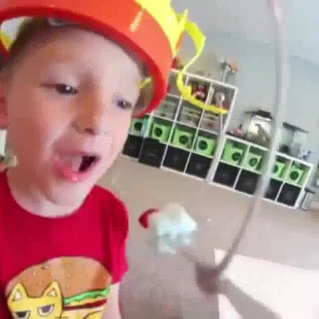 Jual Pie Face Series Original / Pie Face Game / Pie Face