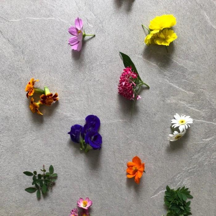 

Topping | Edible Flower Kualitas Terbaik