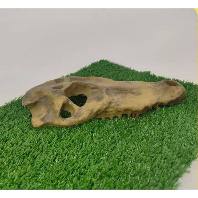 Hiding Cave Reptile Ornamen Hiasan Kandang Tengkorak Buaya
