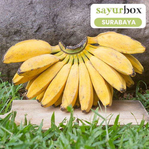 

Pisang Kepok Conventional 1 sisir (Sayurbox) - SURABAYA