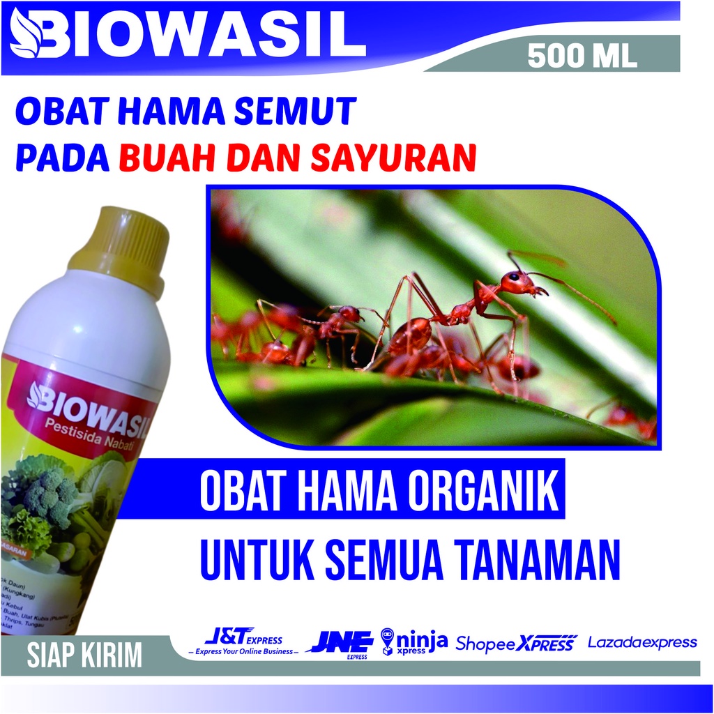 PESTISIDA BIOWASIL - obat hama Semut Merah paling ampuh, obat hama Semut Hitam paling ampuh alami, o