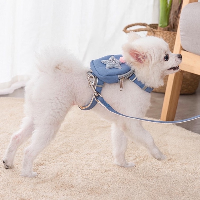 Sarang baggy harness with leash set