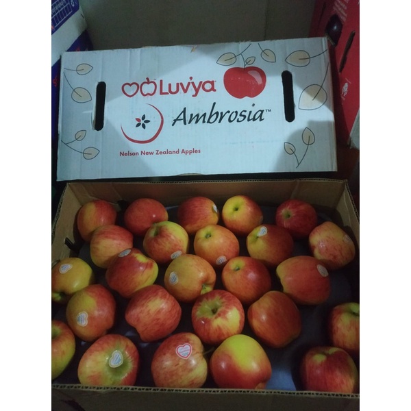 

Apel Ambrosia New Zealand 1 Dus (18 Kg) Fresh Import