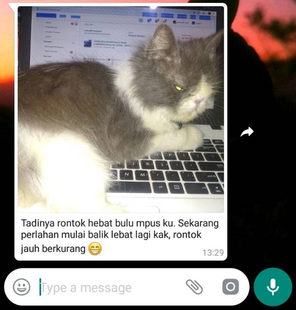 FURMAX VITAMIN BULU KUCING PENUMBUH BULU OBAT PENYAKIT KULIT ANTI BULU RONTOK PELEBAT BULU KUCING