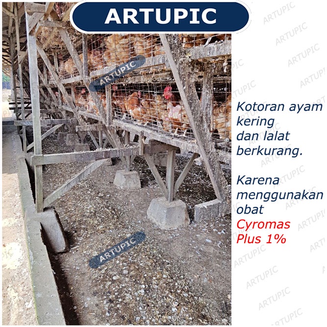 CYROMAS 1% PLUS 1 kg Obat Pengendali Larva Lalat dan Pengering Kotoran Peternakan Kandang Ayam