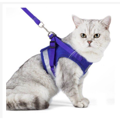[ PROMO ] HARNESS KUCING HARNESS ANJING TALI KUCING ROMPI KUCING TALI KUCING TUNTUN ROMPI KUCING