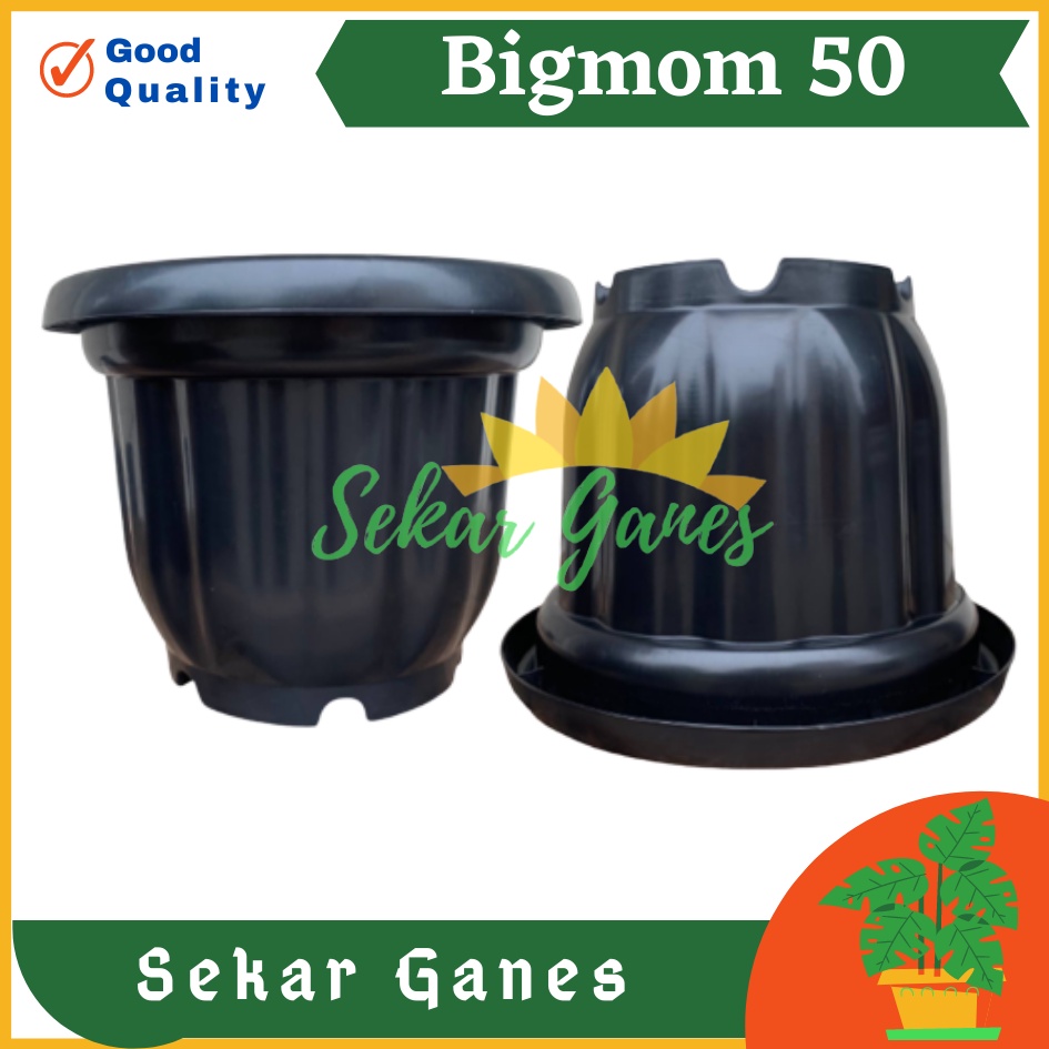 ONLY SAMEDAY AND INSTAN Pot BIGMOM 50 Hitam - Pot Besar Jumbo 50cm Pot Besar Plastik Bahan Tebal - Pot Besar Jumbo 100cm 50cm 40cm Putih Tinggi Hitam