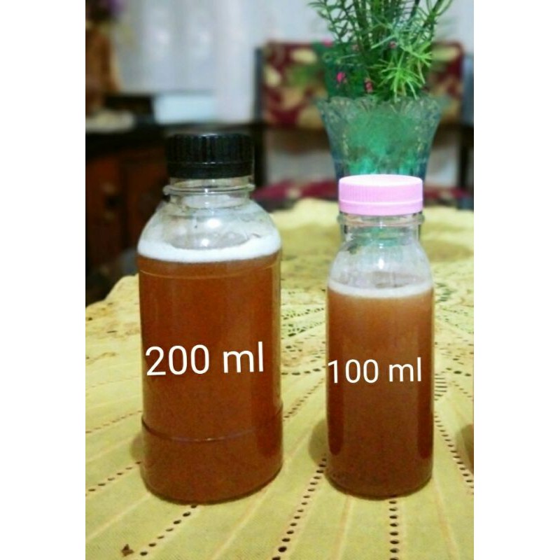 

madu trigona