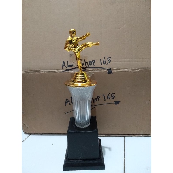 trophy piala bela diri karate silat taekwondo