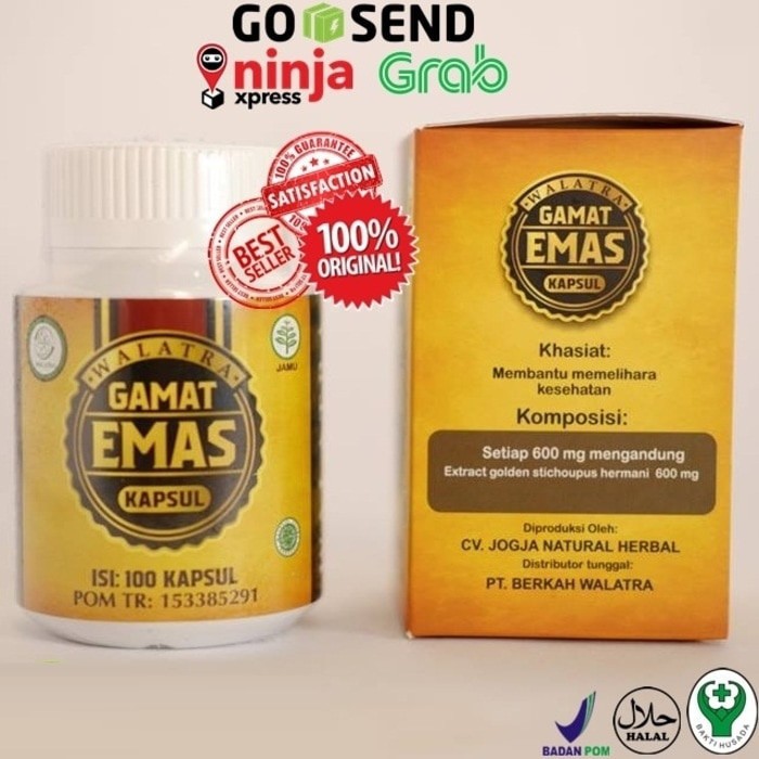 Walatra Gamat Emas Kapsul Asli Kapsul Gamat Gamat Kapsul