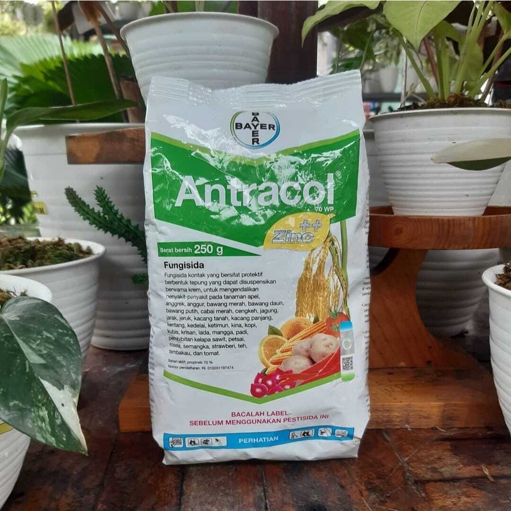 Fungisida antracol/ pupuk tanaman/ vitamin pupuk/ pupuk tanaman fungisida/ vitamin tanaman fungisida