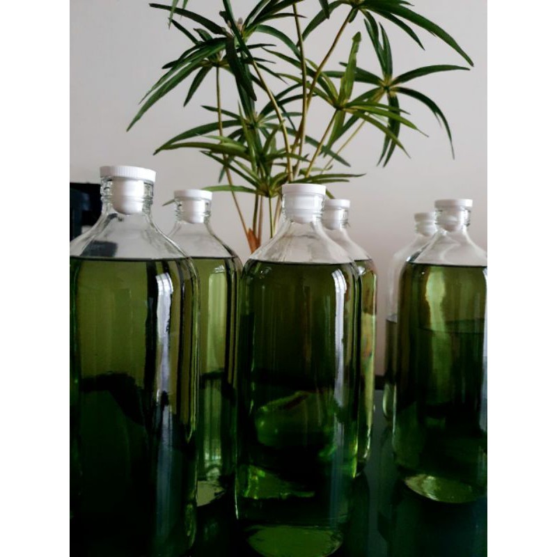 Minyak kayu putih asli pulau buru maluku ambon kemasan jirigen 1liter