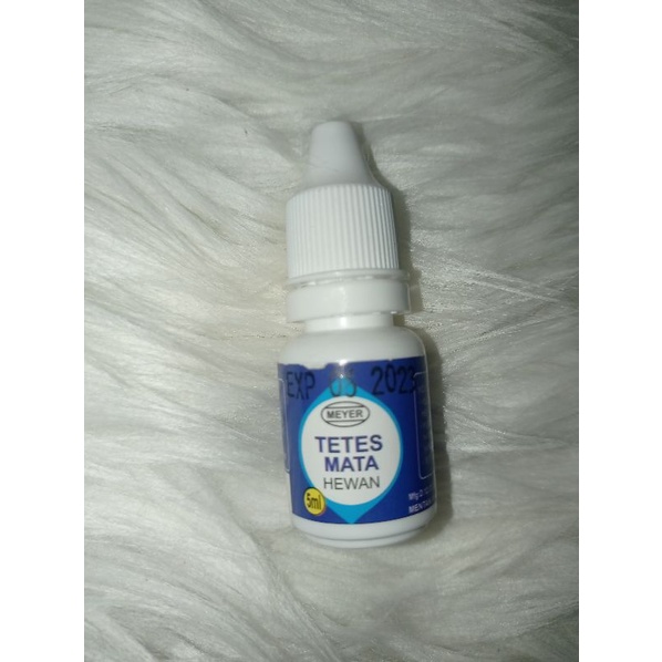 Obat tetes mata hamster gerbil marmut kelinci