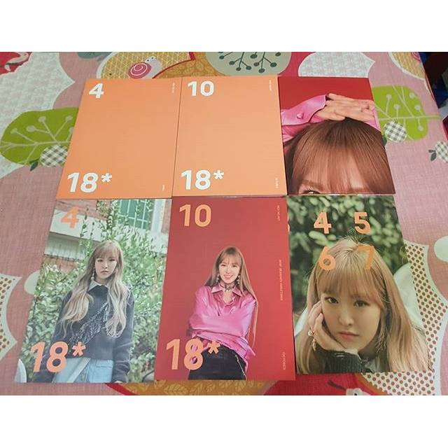 RED VELVET SEASON GREETING 2018 WENDY SET