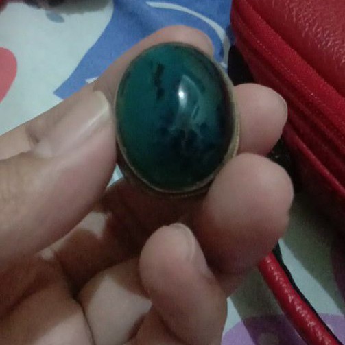 

Bacan coklat totol