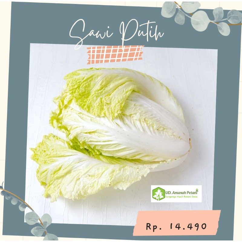 

Sayur Sawi Putih Segar