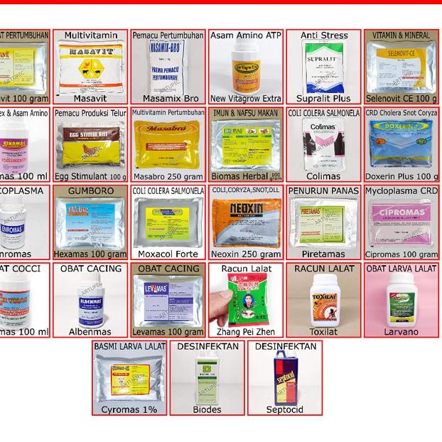 Modern.. Kandang Ayam Petelur 6 Pintu Galvanise