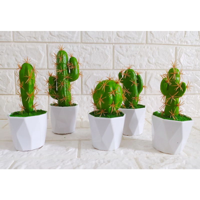 Kaktus palsu set vas melamin