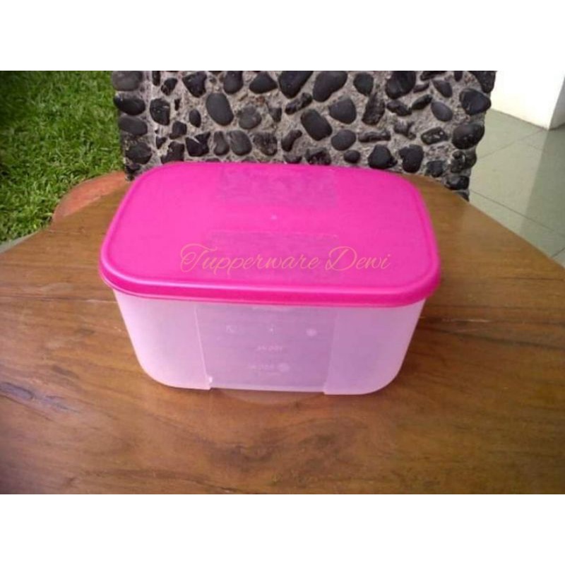 Freezermate Small Tupperware 650ml