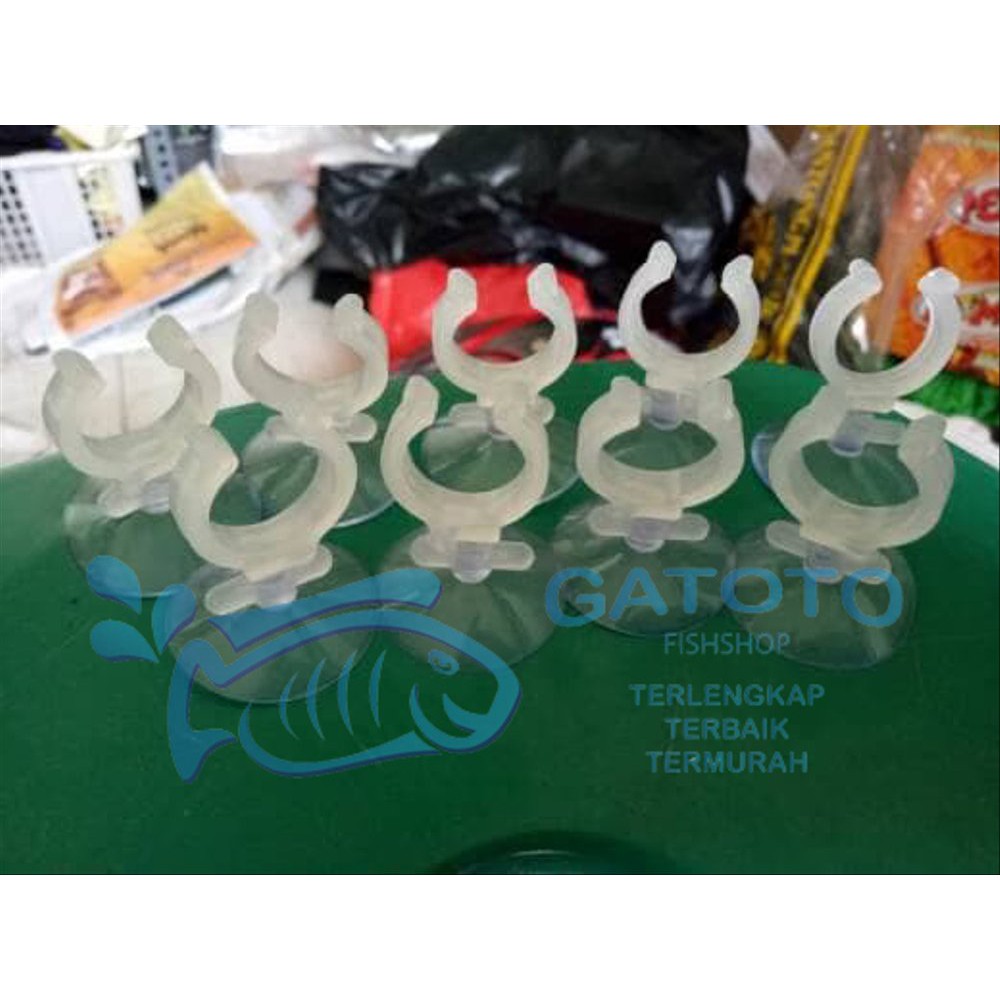 Dop Pipa Besar Murah Aquarium