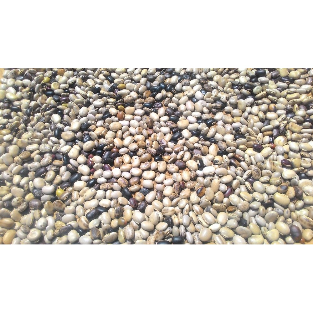 

Kara Benguk 1 KG Mucuna pruriens kara koas Terbaik