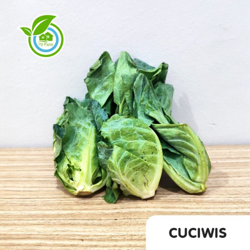 

Cuciwis (250gram)