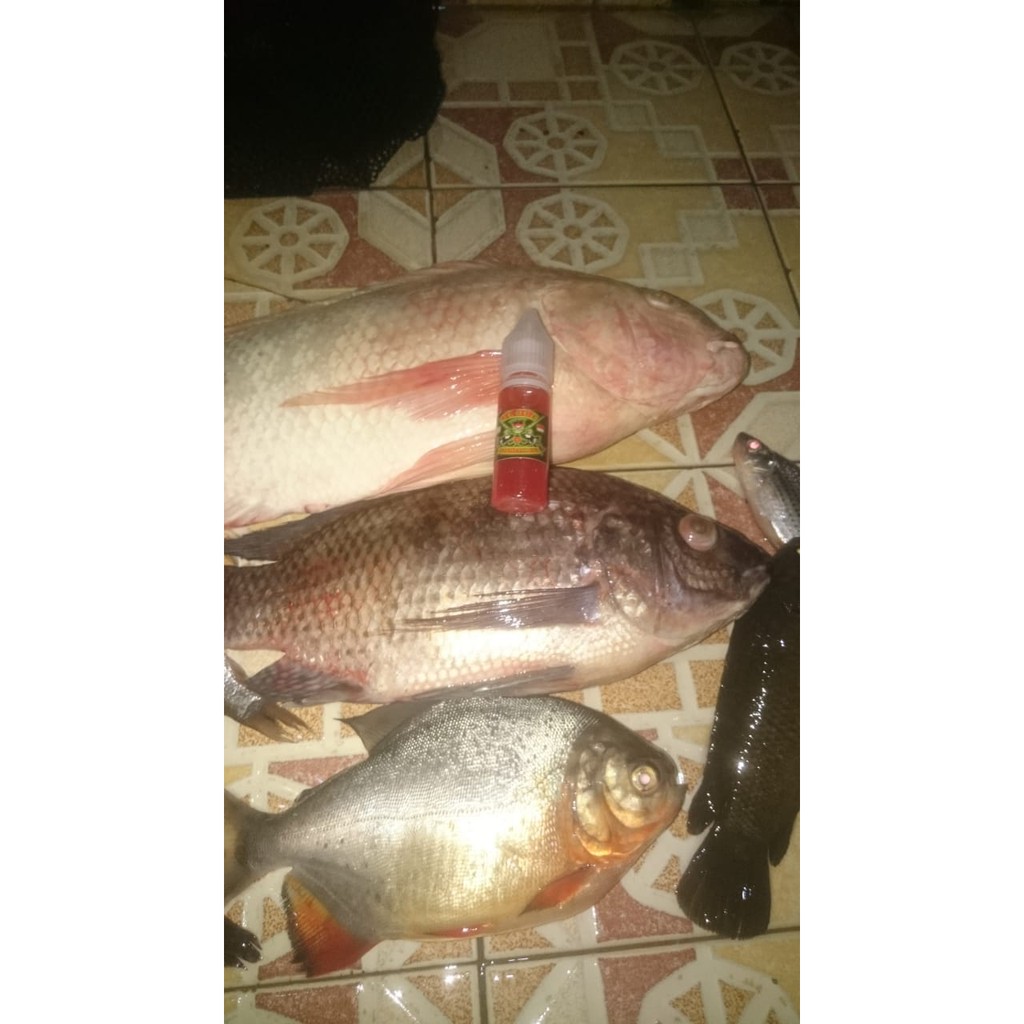 Essen Esen Ikan Nila Mujaer Mas Mujair Jedud 15ml 30ml