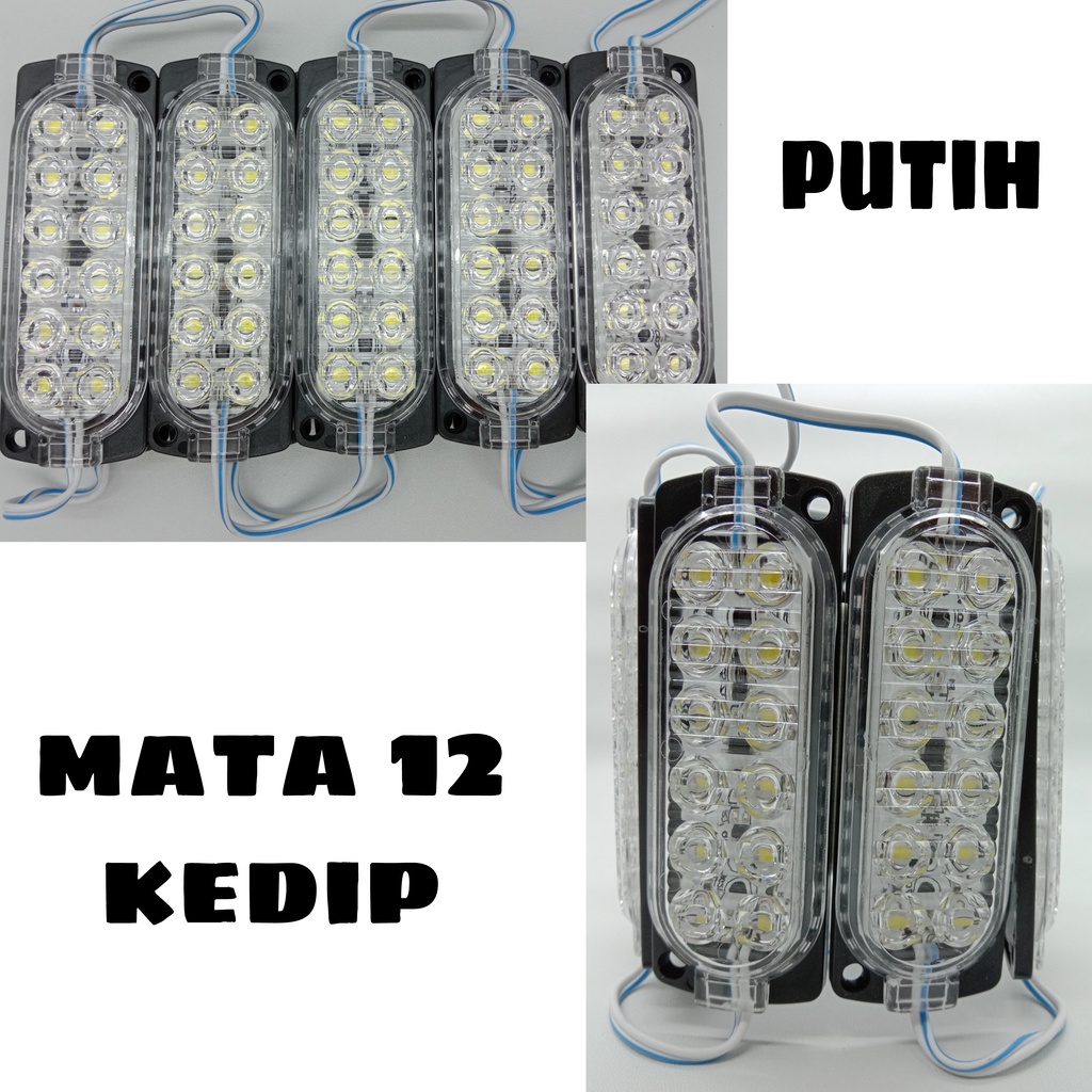 Lampu Kolong LED MATA 12/  Truk Bis 24 Volt 12 LED NYALA KEDIP