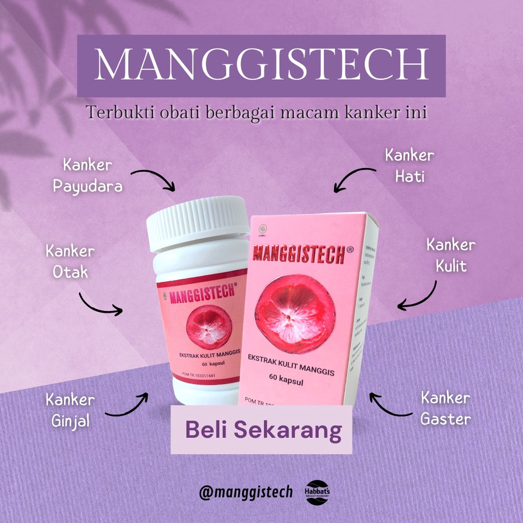 Ekstrak Kulit Manggis Isi 60 Kapsul - MANGGISTECH