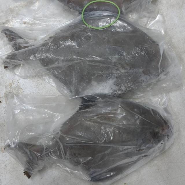 

IKAN DORANG MURAH 1 kg isi 2