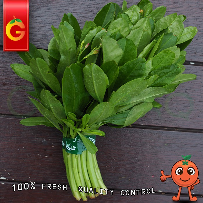 

SAYUR DAUN GINSENG FRESH / IKAT