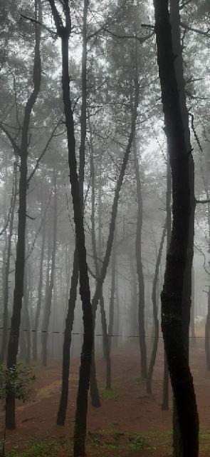 Batik Khan - Kemeja Batik Pria Lengan Panjang Motif Sidomukti By Unggul Jaya