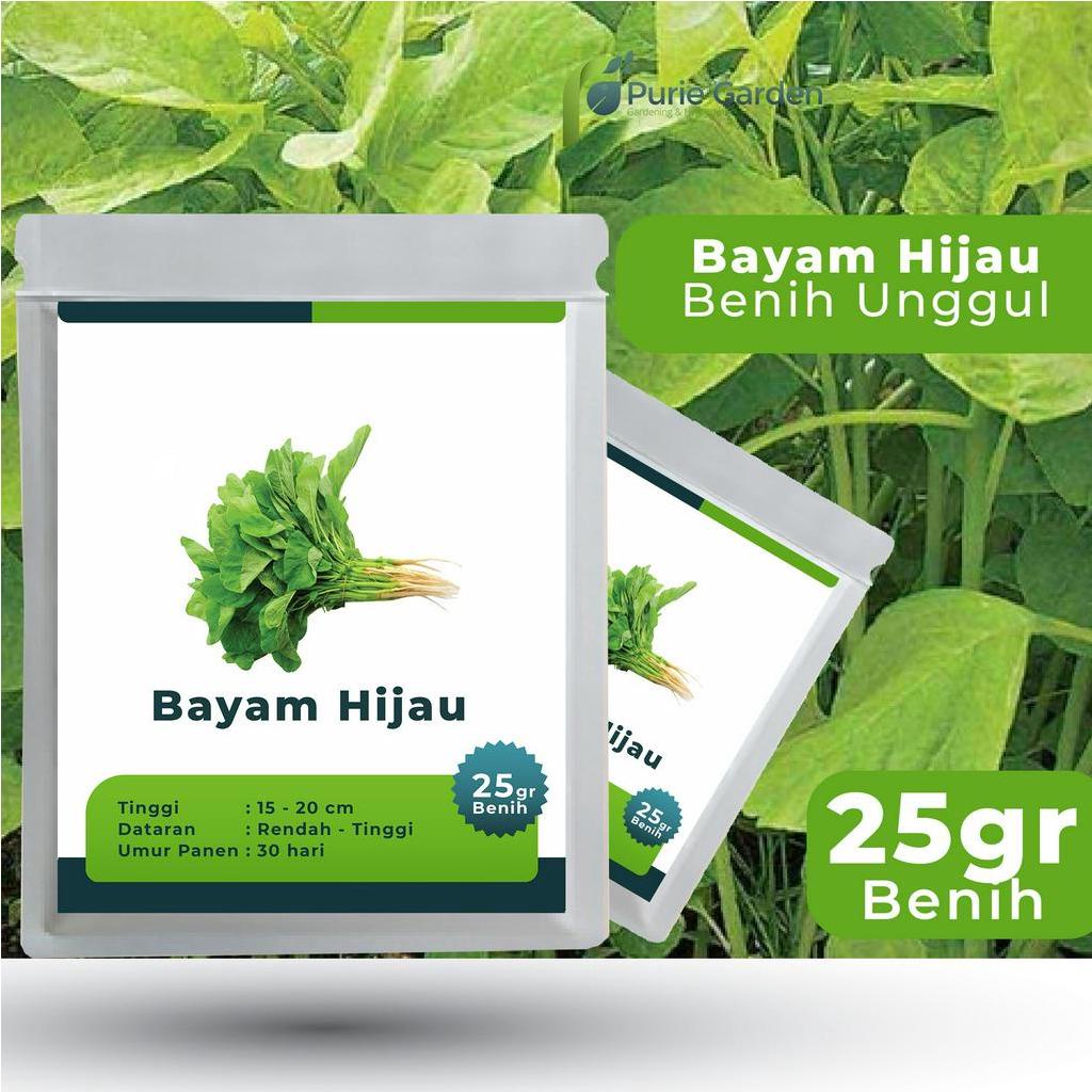 Benih Bibit Biji Unggul Bayam Hijau 25gr PG SBY