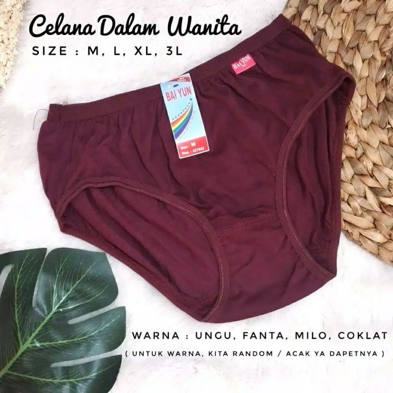 CELANA DALAM WANITA LUSINAN / CELANA DALAM WANITA LUSINAN MURAH / PAKET HEMAT 1 LUSIN CD WANITA BAIYUN-3