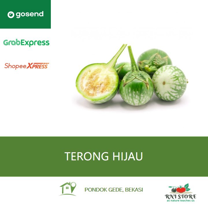 

Sayuran - Terong Bulat Lalap 500 gram