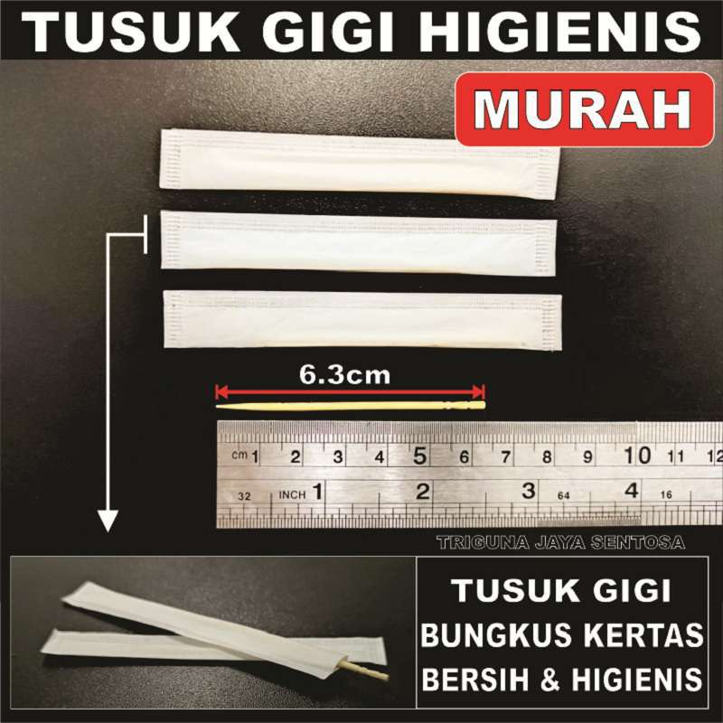 Tusuk Gigi Higienis 500pcs Pack Steril Runcing Bungkus Kertas Toothpick