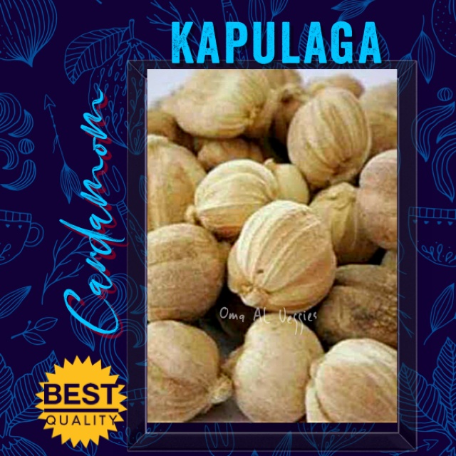 

KAPULAGA PUTIH / KAPOLAGA / NATURAL CARDAMOMS Per Pack ± 15 Gr BUMBU DAPUR