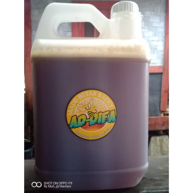 

GROSIR Madu Hutan Baduy 5kg super asli